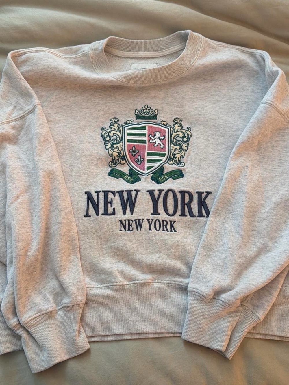 New York Crest Crewneck Sweatshirt - Light Gray from Abercrombie & fitch